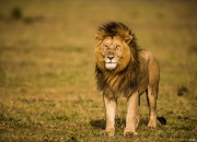 开云体育APP下载-门兴格拉德巴赫负于勒沃库森，失去冲劲的简单介绍