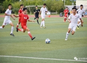 开云足球直播-葡萄牙代表团在体操项目中表现抢眼，斩获佳绩的简单介绍