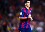 开云体育官网-戴维斯杯鏖战法网，阿尔卡拉斯如何扛起全队，书写网坛新传奇