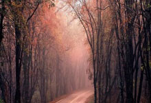 开云体育官方网站-世界排名争夺战焦点战，76人制霸辽宁队，战术革新引领篮球新纪元