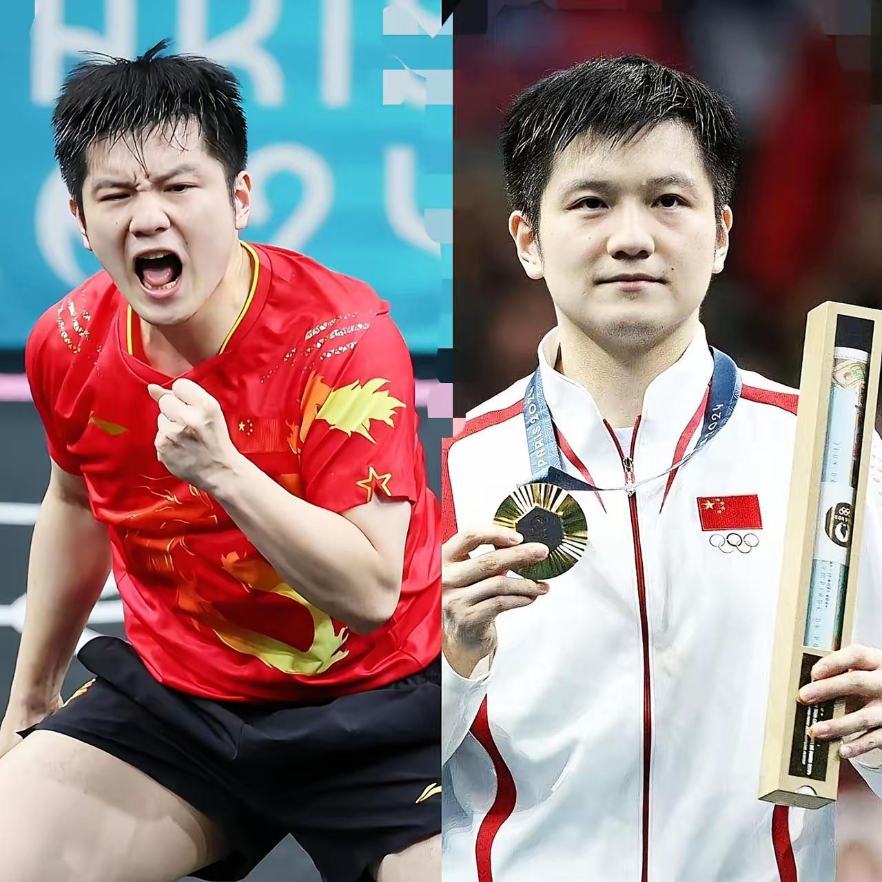 比利时乒乓球队碾压波兰乒乓球队,樊振东惊艳世界的简单介绍 比利时乒乓球队碾压波兰乒乓球队,樊振东惊艳世界的简单介绍