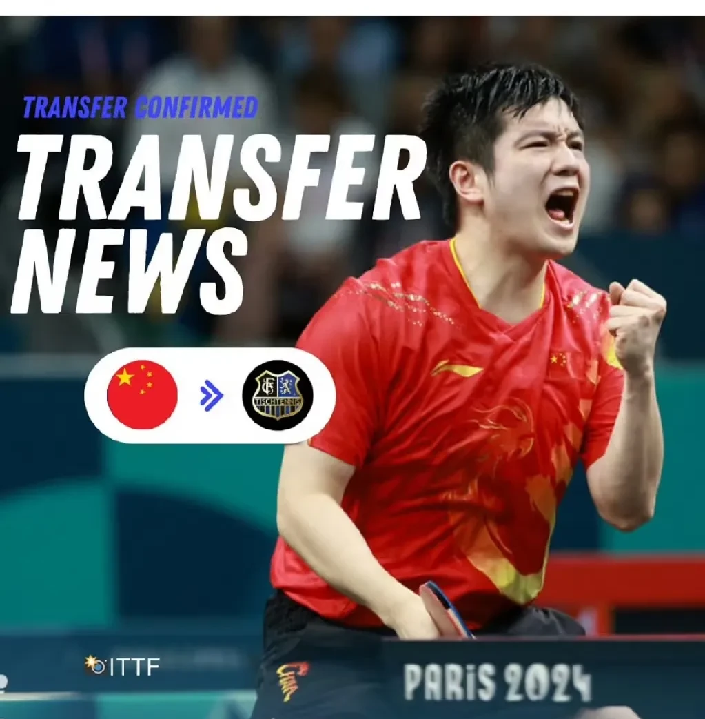 比利时乒乓球队碾压波兰乒乓球队,樊振东惊艳世界的简单介绍 比利时乒乓球队碾压波兰乒乓球队,樊振东惊艳世界的简单介绍