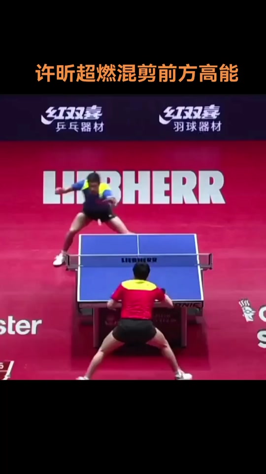 关于日本乒乓球队碾压法国乒乓球队，许昕高光表现的信息