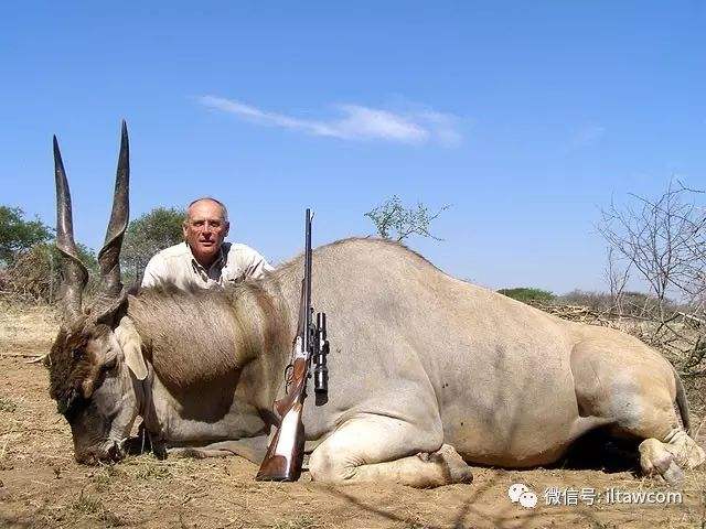 包含肯尼亚败给斯威士兰，欧国联杯赛止步十六强的词条