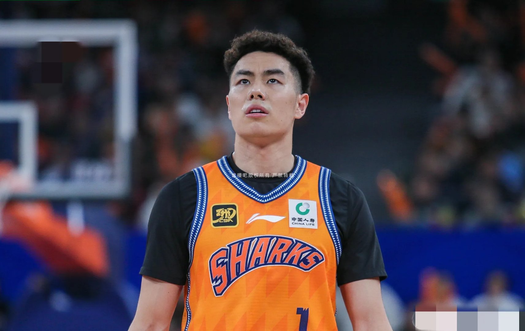 新疆队轻取四川队，胡金秋惊艳四座的简单介绍