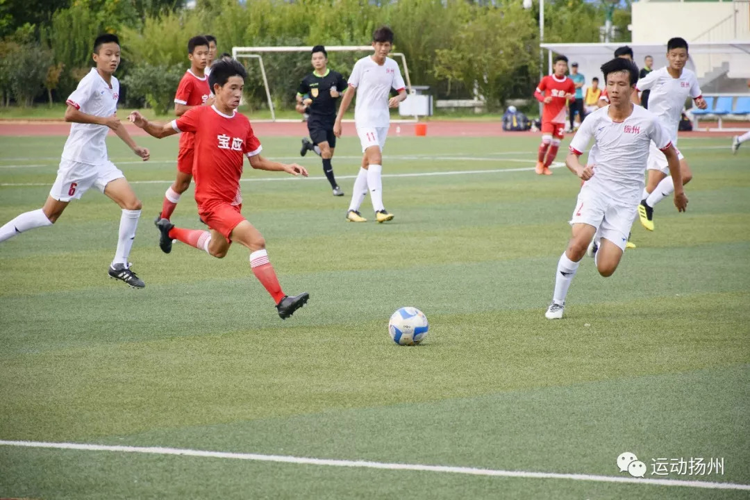 葡萄牙代表团在体操项目中表现抢眼，斩获佳绩的简单介绍