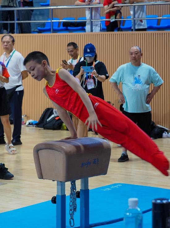 葡萄牙代表团在体操项目中表现抢眼，斩获佳绩的简单介绍