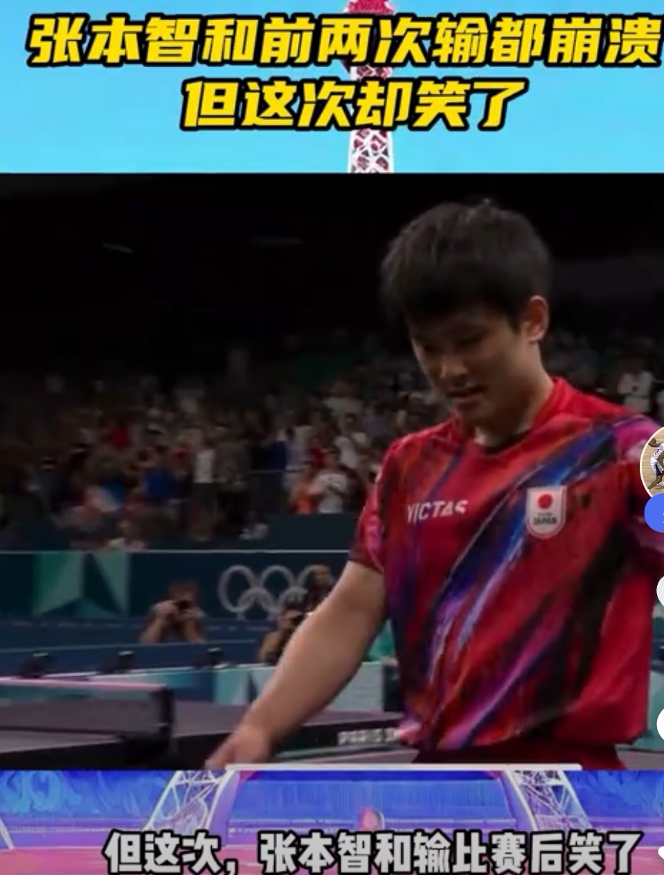 包含瑞典队完胜德国队，张本智和高光表现的词条