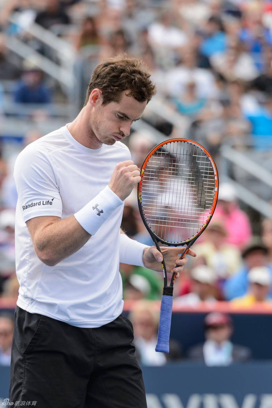 美国网球队强势英国网球队，穆雷统治全场的简单介绍