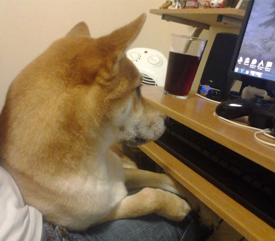 年度焦点之战之夜，切特连续得分拉开差距，奠定胜局