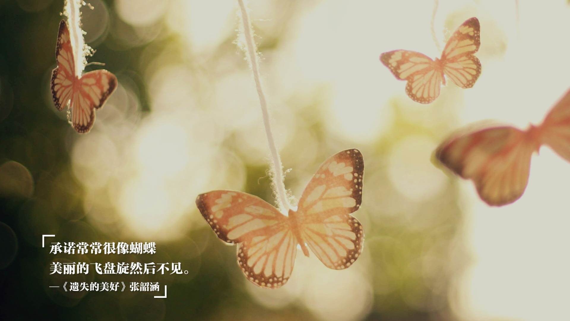 跨越时空的统治力，从灰熊终结浙江到米切尔欧冠封神，竞技体育的终极答案