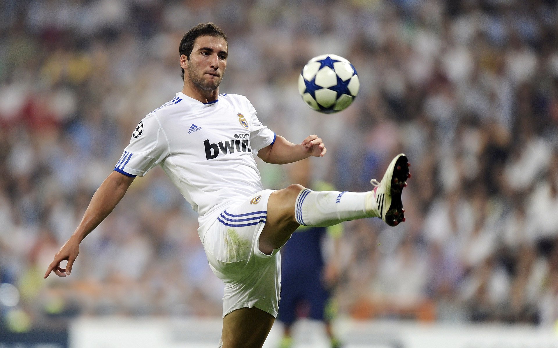 富安健洋，意甲焦点夜的东方主宰者